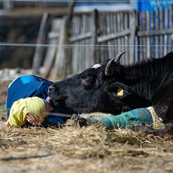 12. Они вознаграждают своих людей большим небрежным поцелуем
