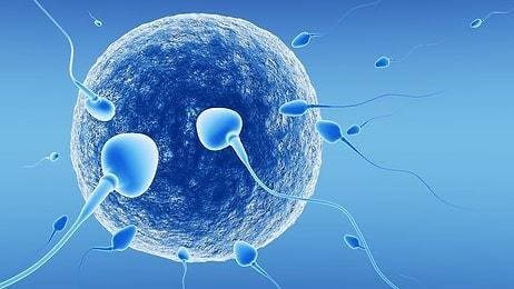 Erkekler İçin Yeni Bir Doğum Kontrol Yöntemi Geliştirildi: Testis Isıtma