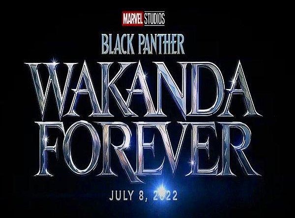 15. Black Panther: Wakanda Forever (2022)