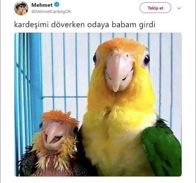 1. Başlıyoruz!