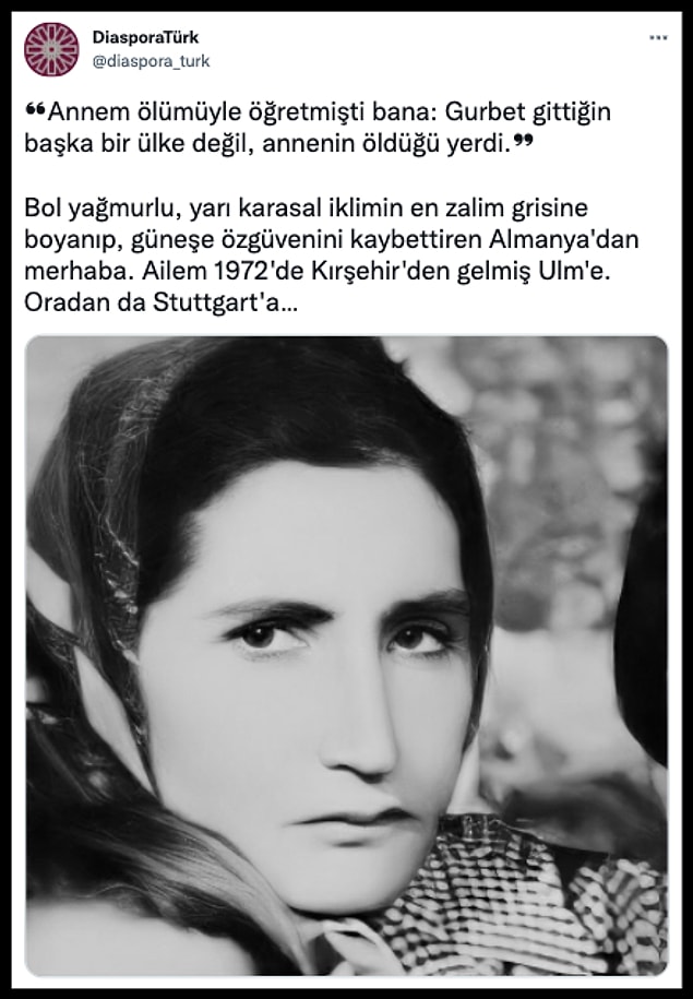 Twitter'da DiasporaTürk, Seher Yıldırım adlı gurbetçi bir kadının yaşadıklarını anlatınca,