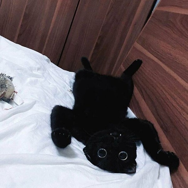 6. Эти глаза..