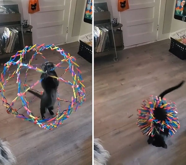 11. Это была ошибка