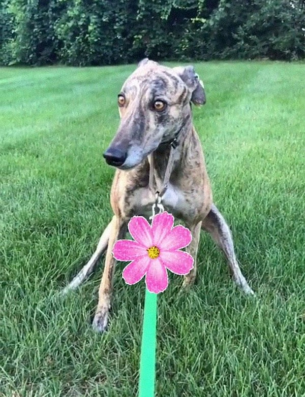 5. Зрительный контакт