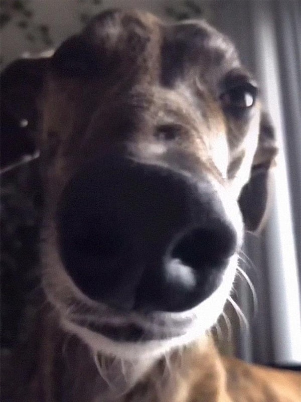 14. Мягкие/легкие глаза