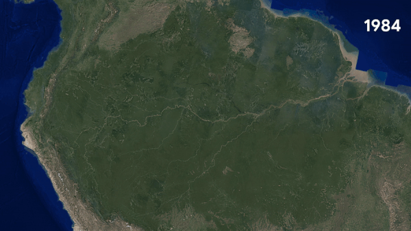 Öte yandan Brezilya 2001’den bu yana 260.000 kilometre kareye denk ormanlık alanın kaybına neden oldu.