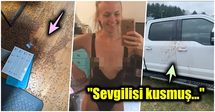 Çöle Düşse Kutup Ayılarıyla Karşılaşıp Birtakım Tatsız Olaylar Yaşayabilecek 15 Bahtsız Kişi