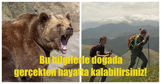 Hayatta Kalabilmek İçin İhtiyacınız Olduğunu Sandığınız İpuçları Ölümünüze Neden Olabilir!