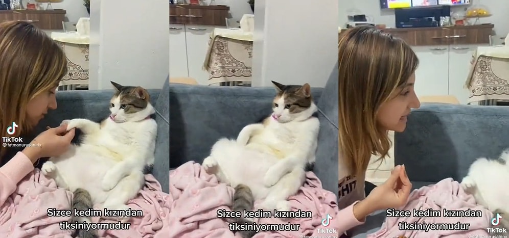 Tatlı Kedi Başarılı Oyunculuğu ve İnsan Dostunun Patisini Öpmesine İzin Vermediği Anlarla TikTok'ta Viral Oldu