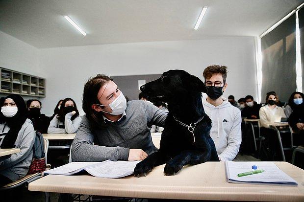 Eskişehir Anadolu Lisesi 3 Köpek ve Bir Kedi Sahiplendi: 'Hayvan Sevmeyen İnsanı Sevemez'