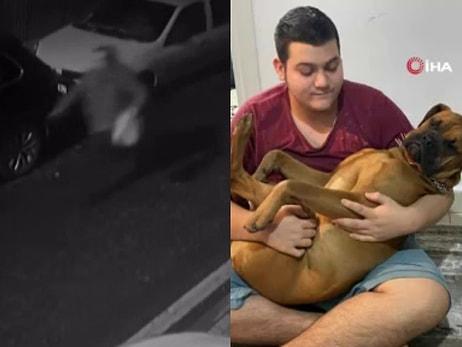 Otizmli Gencin Köpeğini Pitbull Zannederek Silahla Vurdu: 'Çocuğum Sürekli Atak Geçiriyor'