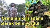 Yerel Halk Yüzyıllardır Korkuyor! Avustralya'nın Koca Ayak'ı Yowie Efsanesi