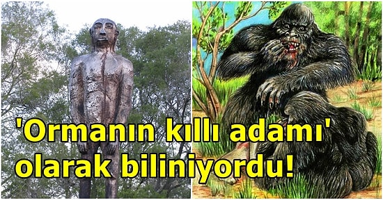 Yerel Halk Yüzyıllardır Korkuyor! Avustralya'nın Koca Ayak'ı Yowie Efsanesi