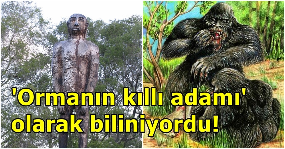 Yerel Halk Yüzyıllardır Korkuyor! Avustralya'nın Koca Ayak'ı Yowie Efsanesi
