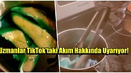 Sakın Denemeyin! TikTok’taki “Uykucu Tavuk” Akımına Dikkat!