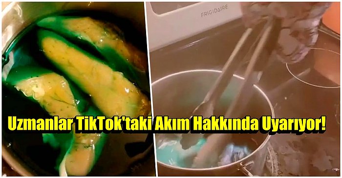 Sakın Denemeyin! TikTok’taki “Uykucu Tavuk” Akımına Dikkat!