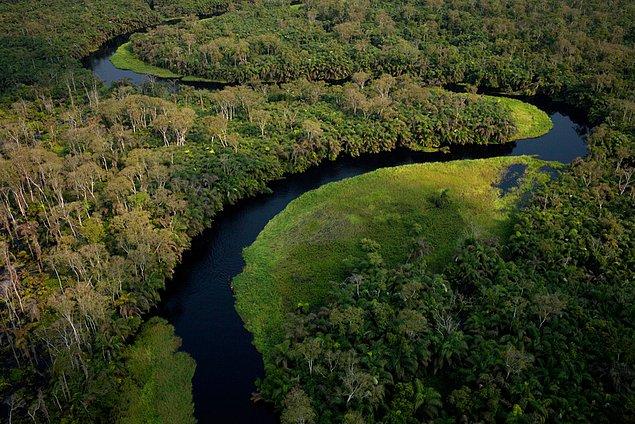 BM 2020 Dünya Ormanlarının Durumu raporuna göre Dünya’nın tatlı su kaynaklarının dörtte üçü ormanlık su havzalarından sağlanıyor.
