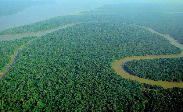 Tropik bölgelerdeki ormansızlaştırma faaliyetleri, su buharı oluşumunu etkileyip yağışın azalmasına sebebiyet verebilir.