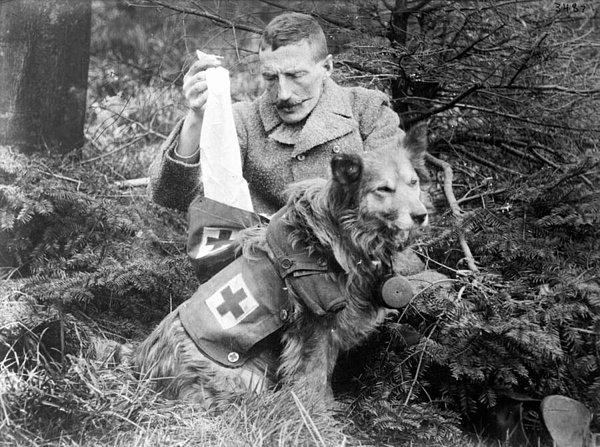 Jean Bungartz adlı bir Alman köpek aşığı ve ressam, Deutschen Verein für Santiätshunde (Alman Tıp Köpekleri Derneği) kurdu.