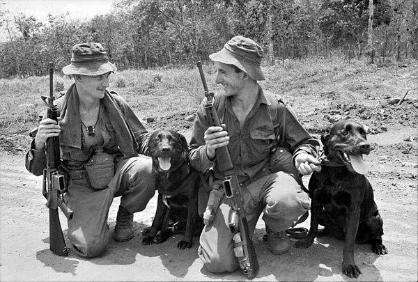 I. Dünya Savaşı'nın ardından özellikle ABD, merhamet köpeklerini daha pek çok çatışmada kullandı.