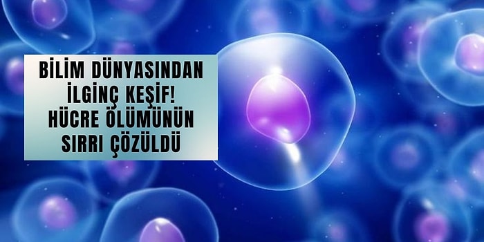 Bilim İnsanları Hücrelerin Kendi Ölümünü Kandırdığını Keşfetti