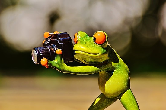 RAW, JPEG, GIF,TIFF ve Daha Niceleri! Yıllardır Kullandığımız Görsel Dosyaları Ne İşe Yarıyor?