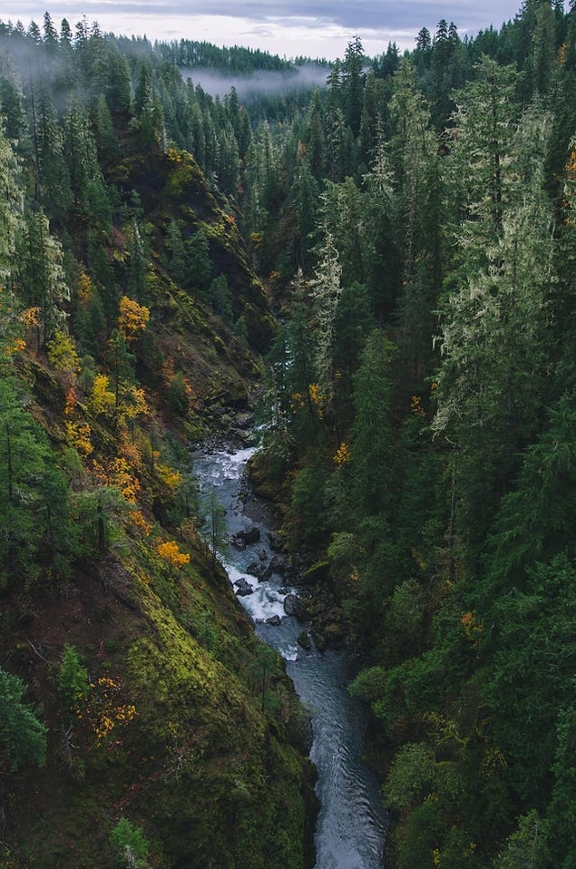 15. Skokomish Nehri, Shelton Washington: