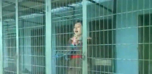 'Ben Bugün Köpeklerin Sesiyim' Diyen Kadın Kafese Girip Havladı