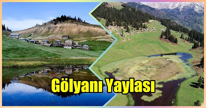 Resmen Kimsenin Bilmediği Saklı Bir Cennetmiş: Giresun'un Gölyanı Yaylasını Tanıyoruz!