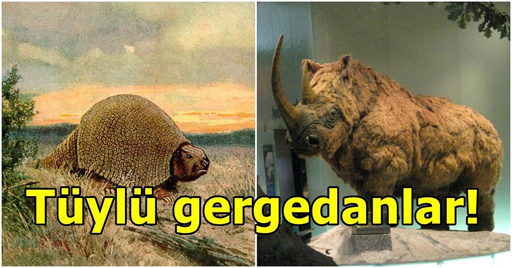 Milyonlarca Yıl Önce Nesilleri Tükendi! Tarih Öncesi Yaşamış Olan Hayvanlar