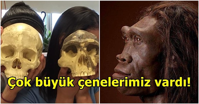 Birer Birer Anlatıyoruz! İnsanın Nasıl Evrimleştiğine Dair Bilinmeyenler