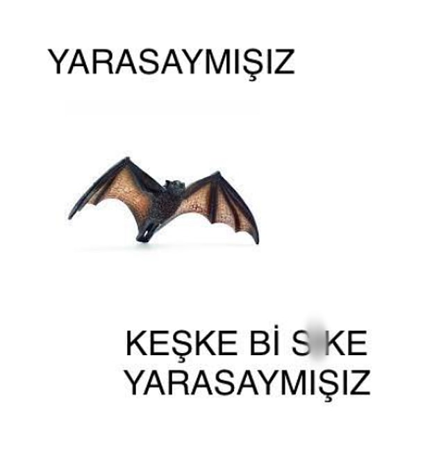 6. Keşke...
