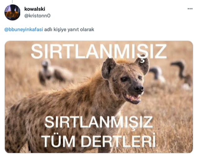 7. Görsel seçimleri de bir o kadar iyi diyebilir miyiz?