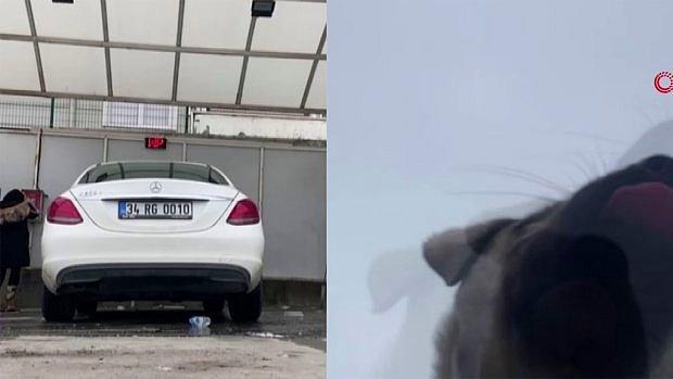 Araba Yıkarken Video Çekmek İçin Yere Bıraktığı Telefonu Köpeğe Kaptıran Kadın