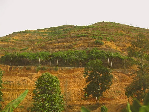 6. Желтый фильтр «экзотической заграницы»