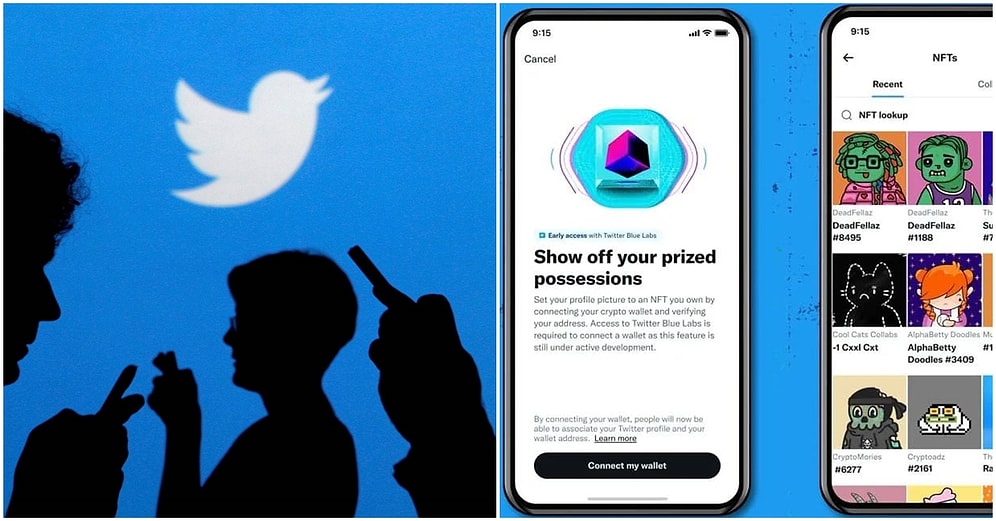 Twitter'dan Yeni Hamle: Kullanıcılar Profil Resimlerine Sahip Oldukları NFT'yi Ekleyebilecek!