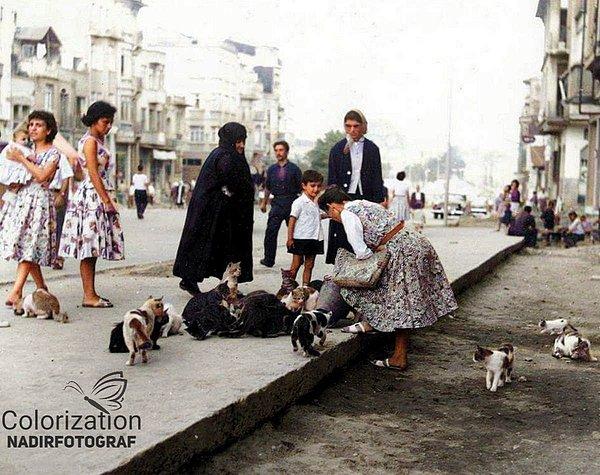 11. Şişli'de kedi besleyen insanlar, İstanbul, 1952.