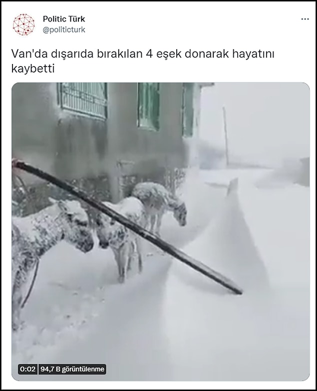 Geçtiğimiz günlerde sosyal medyada yapılan bazı paylaşımlarda Van'da 4 eşeğin donarak can verdiği öne sürülmüştü.
