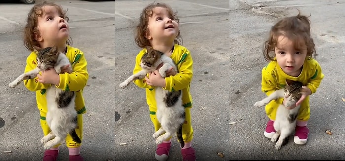 Sokakta Bulduğu Kediyi Eve Getirmek İçin Annesine Dil Döken Küçük Kızın Sevimli Anları