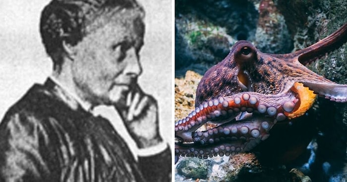 «Сегодня я узнал»: 12 любопытных фактов из жизни, о которых люди не узнали в школе (Новые факты)