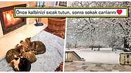 Belçika Büyükelçisi, Ankara Kışında Kapılarını Patili Dostlarımıza Açtığını İçimizi Isıtan Paylaşımla Duyurdu