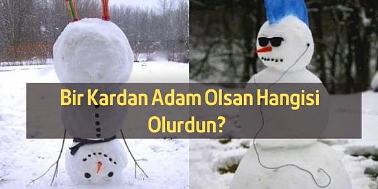 Bir Kardan Adam Olsan Hangisi Olurdun?