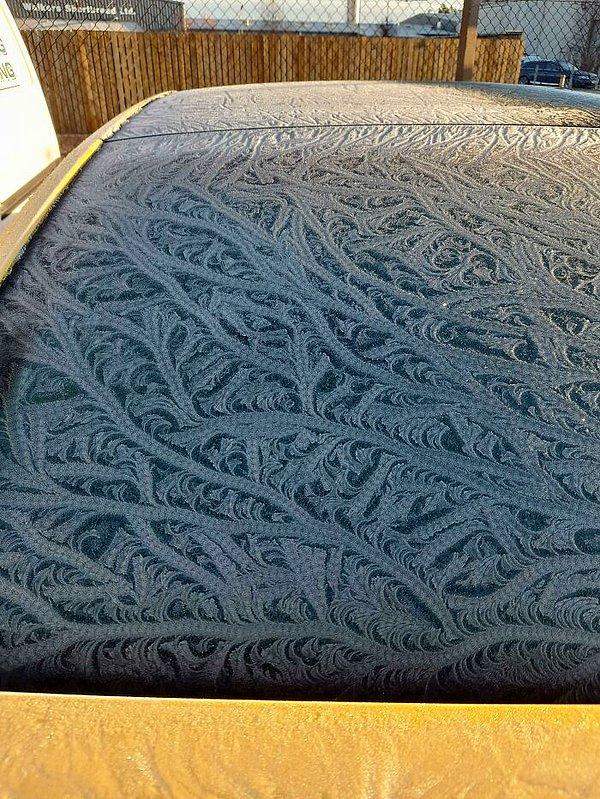 3. Donun arabanın camında oluşturduğu desenlere bakın!