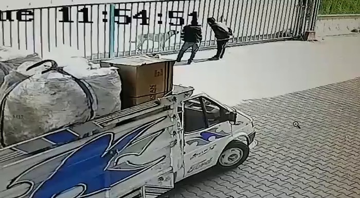 Sürgülü Kapının Arkasındaki Köpeğe Artistlik Yapan Adamların Kapı Açılınca Işık Hızında Kaçtığı Efsane Anlar