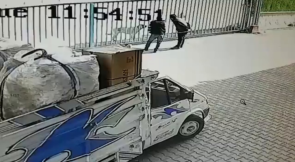 Sürgülü Kapının Arkasındaki Köpeğe Artistlik Yapan Adamların Kapı Açılınca Işık Hızında Kaçtığı Efsane Anlar