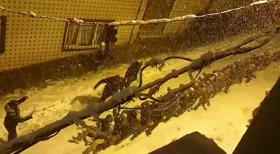 İnsanlar Eğlenmesini Biliyor: Onlarca Kişinin Aynı Anda Karda Kaydığı Eğlenceli Anlar