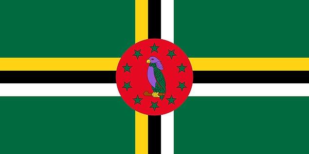 4. Dominika - Papağan