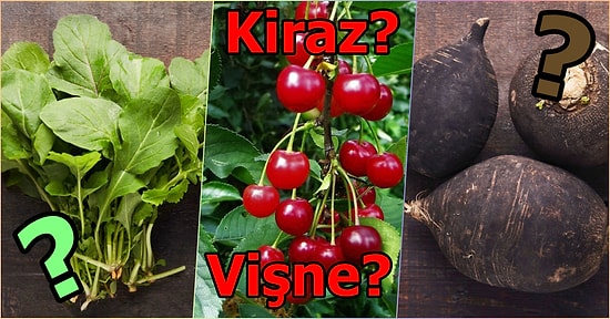 Bu Sebze ve Meyve Testinde Yalnızca Manavlar Full Çekebiliyor!