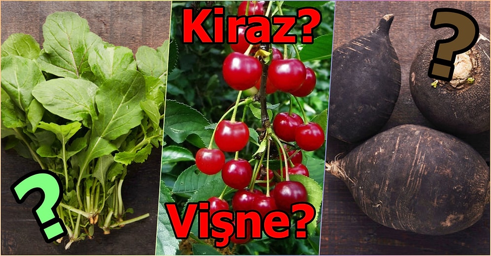 Bu Sebze ve Meyve Testinde Yalnızca Manavlar Full Çekebiliyor!