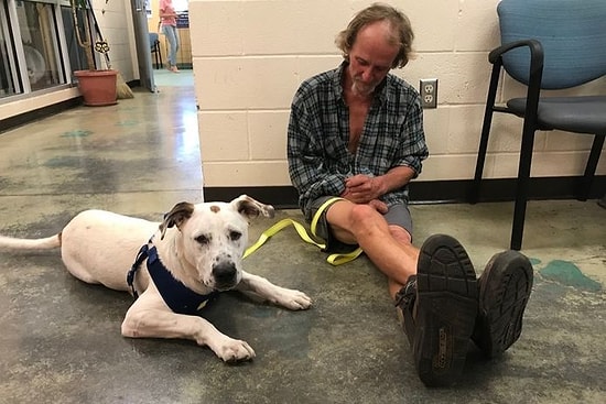 'Bakacak Durumu Olmadığı İçin' Elinden Alınan Köpek Dostuyla Aylar Sonra Buluşan Evsiz Adamın Müthiş Anları